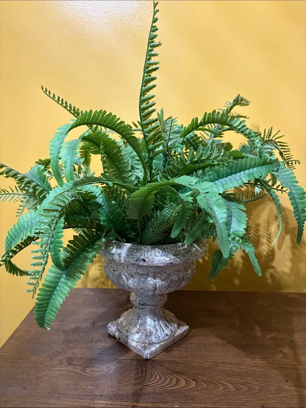 Classic Stone (ceramic) Urn Planter with Lush Green Fern